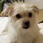 Profile Picture of Chase Cabral (@chaseisonthecase1225) on Instagram