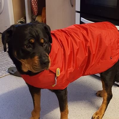 Profile Picture of Clare Hunter (@cmhunter) on Twitter