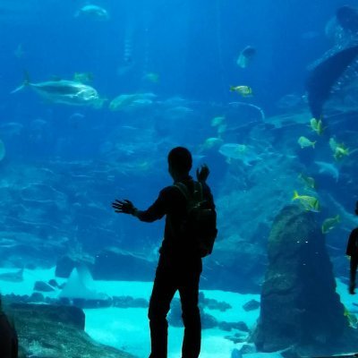 Frank_Shi - Twitter Profile Picture of Frank_Shi (@frankshi16) on Twitter