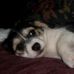 Profile Picture of Sharon Kephart (@sharon.kephart.75) on Facebook