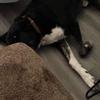 Profile Picture of Rachael Lewis (@@craftyrach) on Tiktok