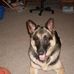 Profile Picture of Larry McElroy (@larry.mcelroy.161) on Facebook