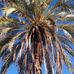 Profile Picture of Sherman Phillip's (@sherman.phillips.9210) on Facebook