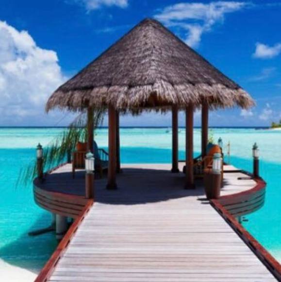 Profile Picture of Fabio Souza (@fabiosouza) on Poshmark