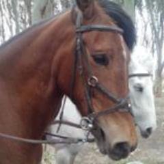 Profile Picture of Youcef Boulahouache (@MoussaabZoro) on Twitter