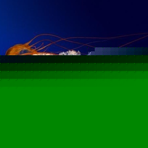 Profile Picture of Fernando Plascencia (@267887374) on Myspace