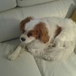 Profile Picture of Ineke Aperloo (@inekeaperloo) on Instagram
