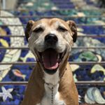 Profile Picture of ashley marie terry (@ashtater) on Instagram