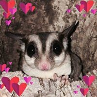 Profile Picture of Lisa Verrill (@lisa-verrill-1) on Quora