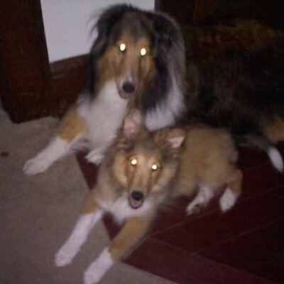 Profile Picture of Scott Knepper (@sknepper73) on Twitter