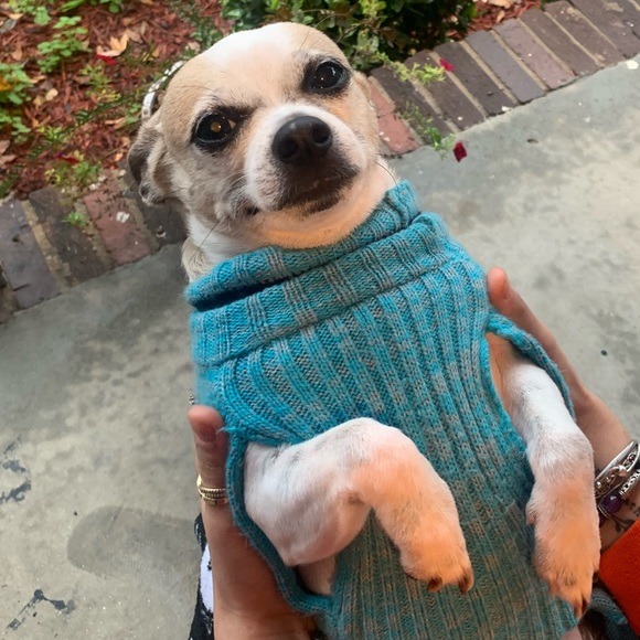 Profile Picture of Devin Rivera (@devinthatkid) on Poshmark