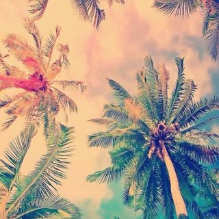 Profile Picture of Lara & Jacky❤️ (@lara.jacky) on Instagram