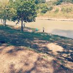 Profile Picture of Robert Eady (@robert.eady.3914) on Instagram