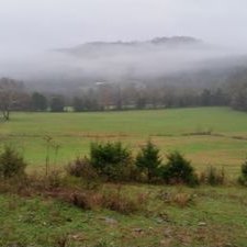 Profile Picture of Gregory Nowling (@GregoryNowling) on Twitter