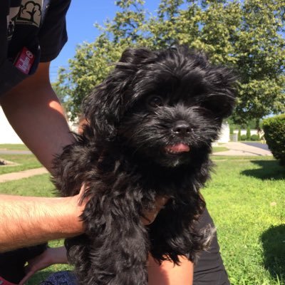 Profile Picture of Gavin Graves (@GavinGr26535324) on Twitter