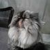 Profile Picture of Marilyn Mandile (@marilyn.mandile) on Facebook