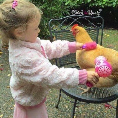 Profile Picture of I Held Bradley’s Hand (@shreibe) on Twitter