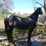 Profile Picture of Bartolome Tuyin (@Bartolome-Tuyin) on Facebook