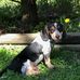 Profile Picture of Beverly Vanhorn (@Beverly-Vanhorn) on Facebook