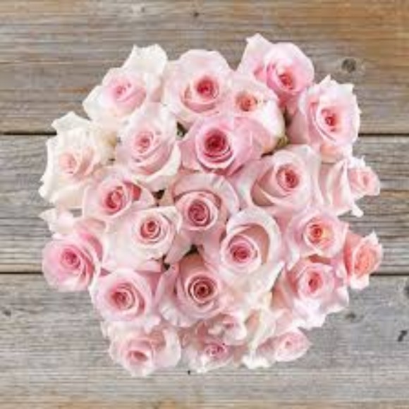 Profile Picture of E Sessler (@justpinkangels) on Poshmark