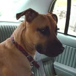 Profile Picture of Robin Caldwell Dire (@robin.dire) on Facebook