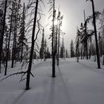 Profile Picture of Jeffrey Schwindt (@jj_schwindt) on Instagram