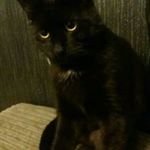 Ellis porter - Instagram Profile Picture of Ellis porter (@e___xd) on Instagram