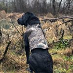 Profile Picture of Chad Crowley (@chadcrowley) on Instagram