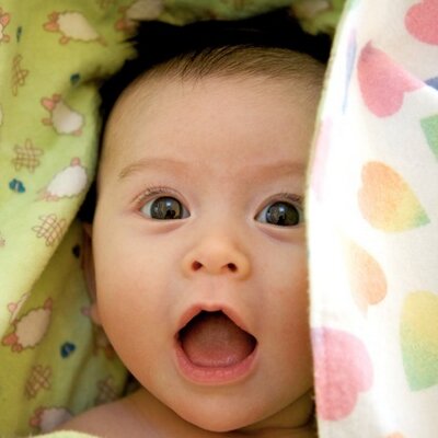 Profile Picture of Steve Roseman (@stevejewroseman) on Twitter