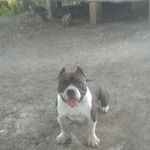 Profile Picture of Robert gentles (@rob04291) on Instagram