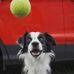 Profile Picture of David Seipel (@david.seipel.982) on Facebook