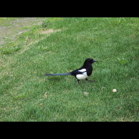 Profile Picture of Muriel Dimatteo (@makesyouhappy) on Poshmark