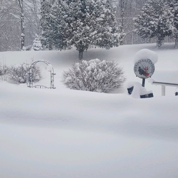 Profile Picture of Jenna Marek (@jennalm7) on Poshmark