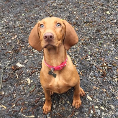 Profile Picture of Gareth Allen (@GarethAllen23) on Twitter