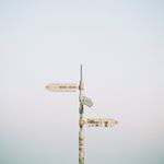 Profile Picture of Calvin Li (@jasmine_mapo_tofu) on Instagram