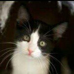 Profile Picture of Jason_Hartranft (@jasonhartranft) on Instagram