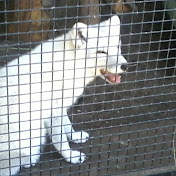 Profile Picture of Katelyn Pope (@katelynpope1106) on Youtube