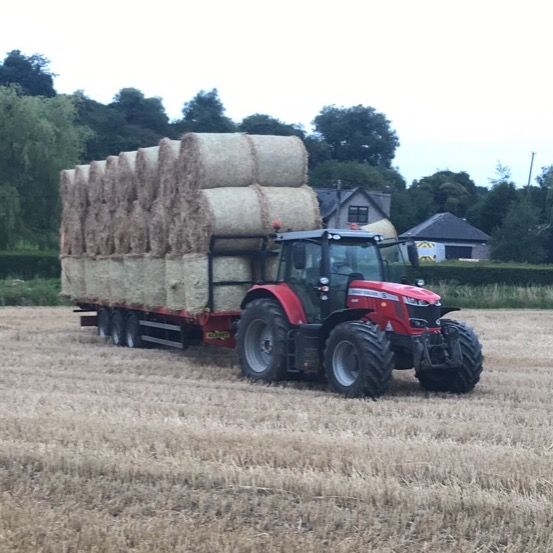 Profile Picture of Barry Sheridan (@@barrysheridan1) on Tiktok