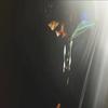Profile Picture of Jonathan Castro (@@joncasindependence) on Tiktok