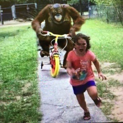 Benjamin Singletary - Twitter Profile Picture of Benjamin Singletary (@Benjami55119647) on Twitter