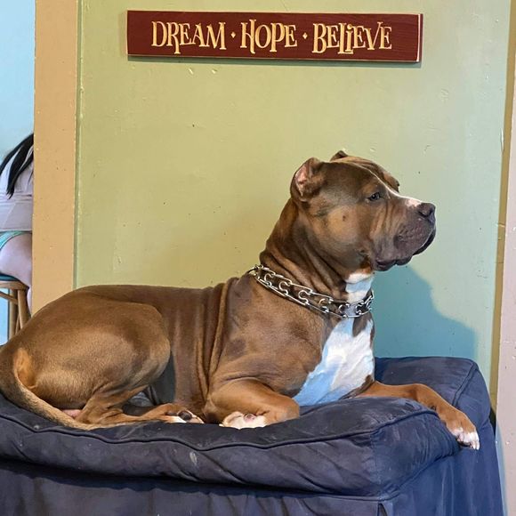 Profile Picture of Ronald Goshorn (@ronaldgoshorn) on Poshmark