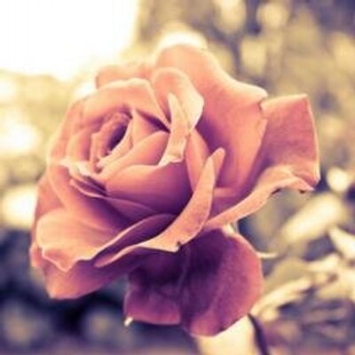 Profile Picture of Shim Ni Yeon (@CK__NiYeon) on Twitter