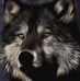 Profile Picture of Steven Balthazor (@steven.balthazor.7) on Facebook