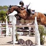 Profile Picture of Thomas Cherrier (@thomas_cherrier) on Instagram