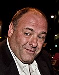 Profile Picture of James Gandolfinion Wikipedia