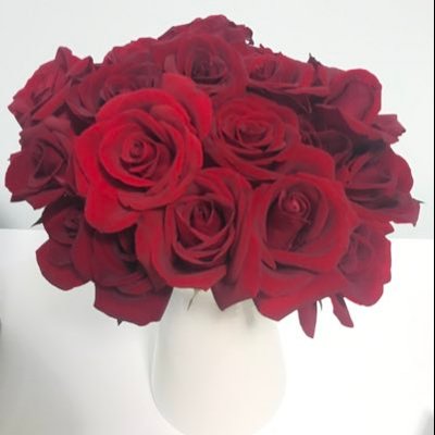 Profile Picture of Susan Meng (@mengxiaoshu1) on Twitter