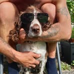 Profile Picture of Steve Segust (@steve.segust.3) on Facebook