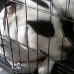 Profile Picture of Tyron bowden martin (@tyron20089) on Instagram