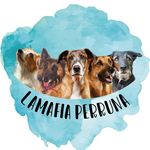 Profile Picture of La Mafia Perruna (@lamafiaperruna) on Instagram