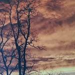 Bruce M - Flickr Profile Picture of Bruce M (@i love to 69) on Flickr